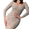 2025 Primavera Transfronteriza Nuevo Exportación Europea y Americana Ropa de Mujer Estampado en Caliente Manga Larga Ajustado Sexy Falda Larga Vestido de Noche para Banquete
