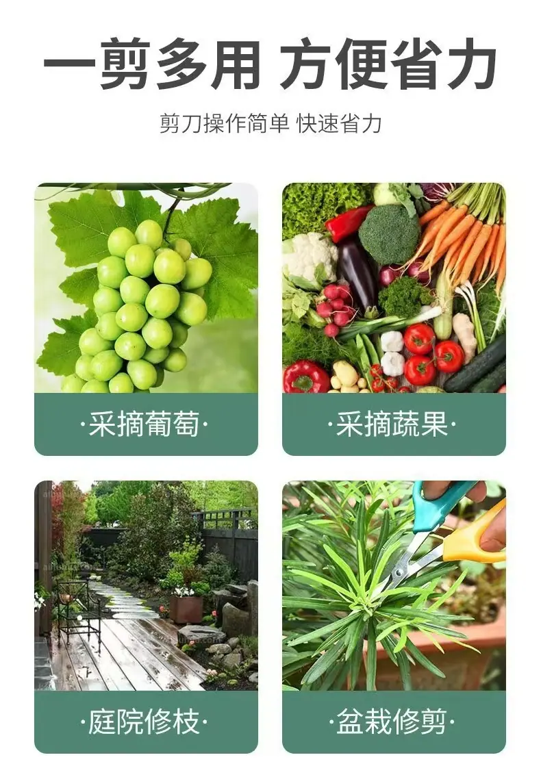 ce71f460ecd9315907f074777a510f