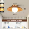 Luces de Pasillo Estilo Vintage en el Jardín Grand View, Luces de Pasillo, Luces de Techo Sencillas para Casas de Huéspedes, Vestuarios y Balcones L271