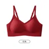 119/1 Sujetador Seamless de Cierre Trasero Regular, Realza el Escote, Ajustable, Diseño Delgado tipo Gelatina, Sujetador Coreano Push-Up con Soporte de Espalda