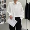 Camisa estilo Hong Kong cor pura solta com caimento para usar por baixo primavera e outono camisa de manga comprida masculina versão coreana ins top moderno bandido bonito