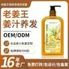Champú de jengibre casero antiguo OEM personalizado etiqueta privada crecimiento del cabello cuidado del cabello champú anticaspa fabricación por contrato ODM imprime LOGOTIPO