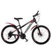 Procesamiento Bicicleta de Adulto Personalizada Bicicleta de Montaña Juvenil 26 pulgadas 24 pulgadas Velocidad Variable Freno de Disco Doble Bicicleta de Estudiante Vehículo Todoterreno