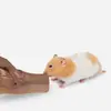 Rama de vid Hamster Jaula Paisajismo Productos Masticar Moler Palo Raíz Roca Natural Escalada Escalera Juguetes de Escape