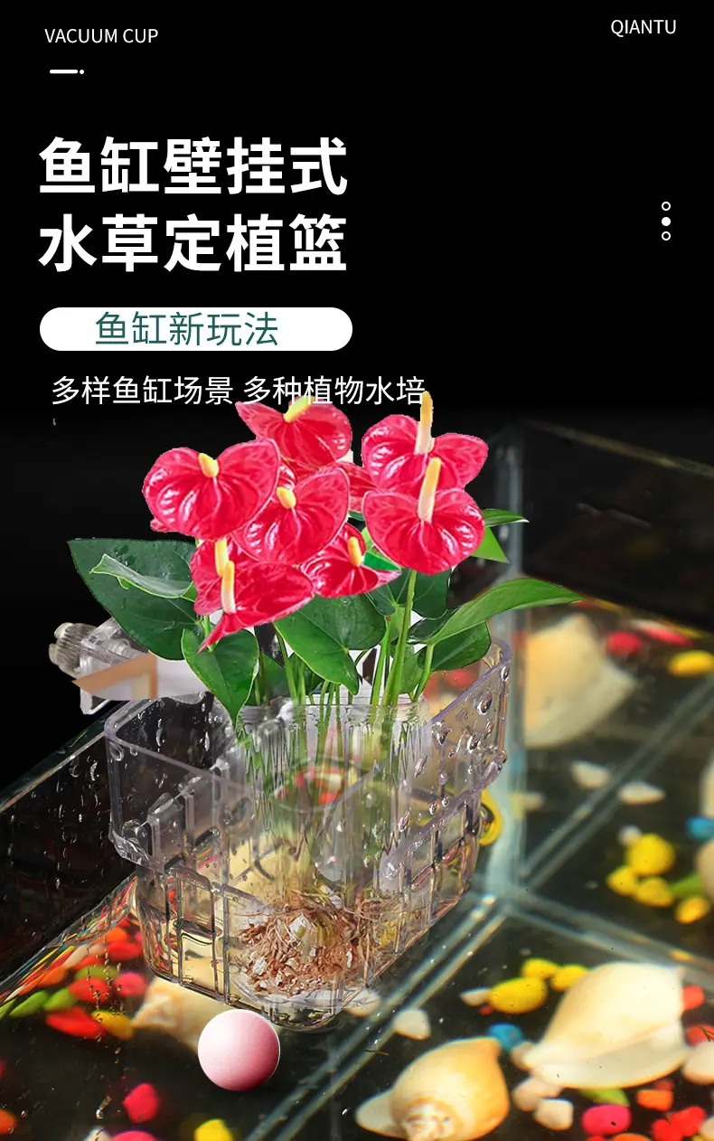 水草盒_01.jpg