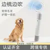 Secador de Pelo para Mascotas, Herramienta para Soplar el Pelo de Perros, Peine de Aire Caliente, Secador y Peine Todo en Uno para Perros, Peine Alisador para Perros
