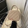 Bolsa de Mão Biscoitos Novo Estilo 2024 Popular Este Ano Moda Versão Coreana Mais Fácil de Combinar Estilo Ocidental de Alta Qualidade Bolsa Quadrada Pequena Bolsa Transversal