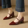Sapatos Mary Jane femininos de bico fino e corte baixo com salto médio, salto grosso, modelo novo da primavera de 2026, salto alto com fivela de corrente, versátil