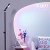 Luz ambiental de fondo para transmisión en vivo, luz de atardecer, luz de relleno de contorno de fondo para presentador, foco decorativo para sala de transmisión en vivo