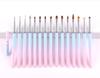 Oferta especial de remate pluma especial para manicura transfronteriza set especial para manicura pluma para pintar flores de trazo pluma especial para fototerapia francesa pluma de cristal degradado