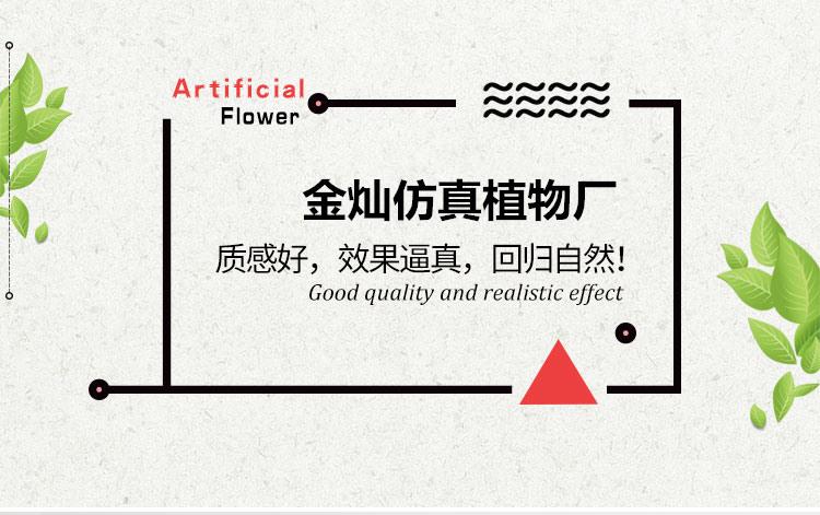 1_01_副本.jpg