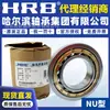 Rodamientos de Rodillos Cilíndricos HRB Harbin Bearing Nu209Em Nu210Em Nu211Em Clase II