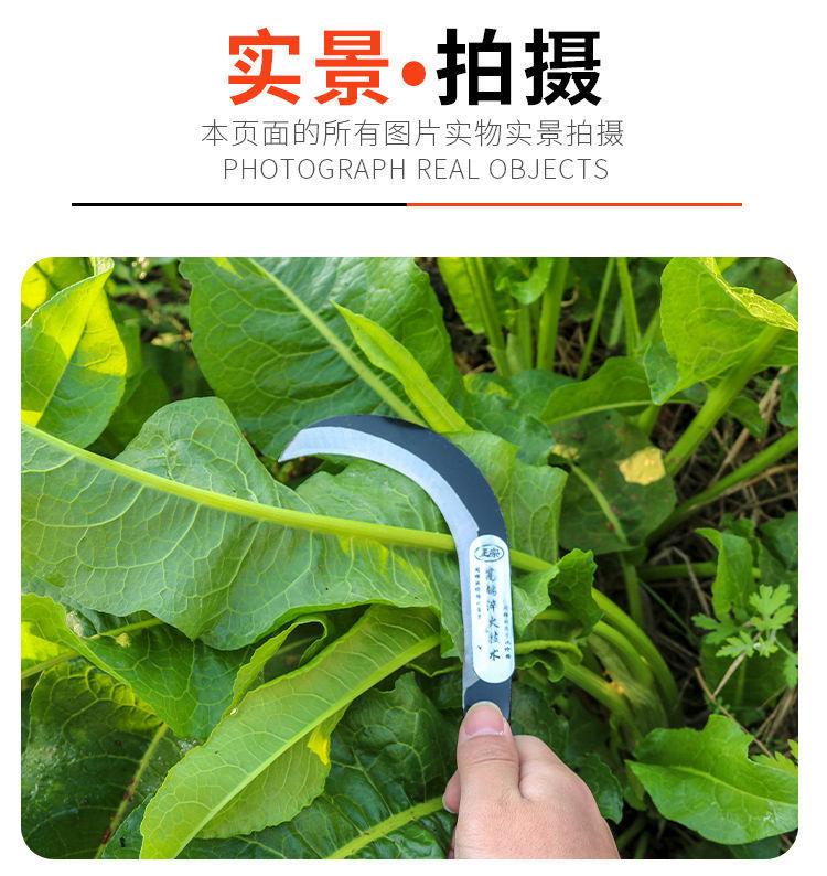 详情图片_7.jpeg