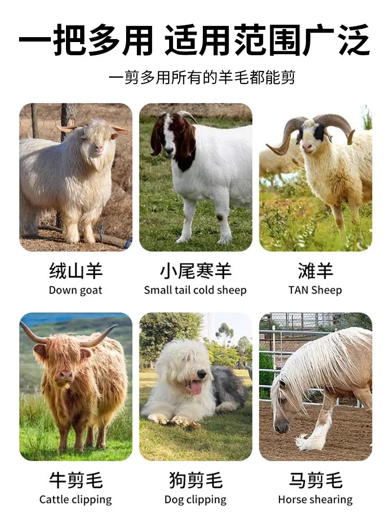 详情4_02