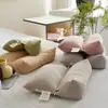 2025 Nuevo Tipo a Algodón Combinación Triángulo Cuadrado Almohada de Trigo Sarraceno Fragancia Herbal Almohada Lumbar de Trigo Sarraceno Almohada Dura