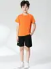 Conjunto Deportivo Redondo para Hombre y Mujer, Delgado, Absorbe el Sudor, Transpirable, Elástico, para Senderismo y Trekking, Estampado con Iones de Plata, Camiseta de Secado Rápido
