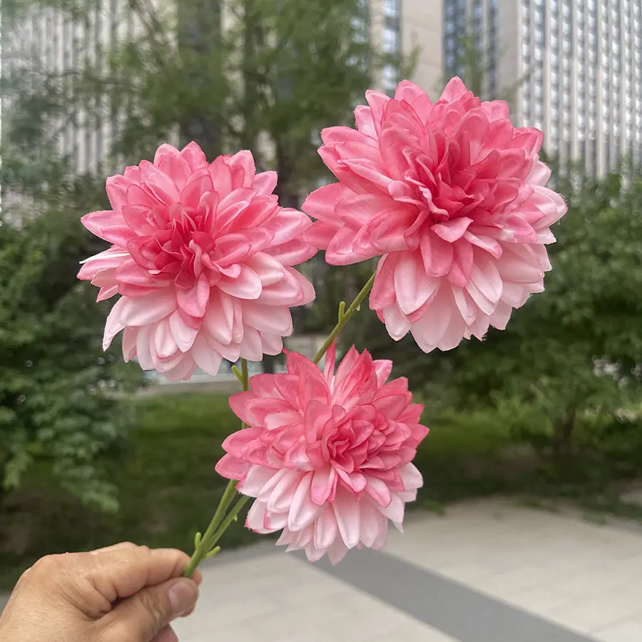 3头炫彩锦绣-xwmhx-深粉.JPG