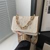 Bolso de cadena de acrílico de moda tejido 2024 Nuevo Bolso de hombro simple de encaje de paja Bolso cruzado para mujer