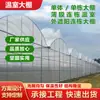 Estrutura de Tubo de Aço para Estufa Hubei, Estufa para Criação Guangxi, Estufa Agrícola de Tubo Galvanizado, Conjunto Completo de Estufas Montadas para Cultivo de Vegetais