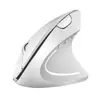 Suministro Transfronterizo Spot del Fabricante Ratón Vertical Derecho de Quinta Generación Ratón Inalámbrico Recargable Bluetooth de Doble Modo