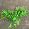 Ramas de Pino para Paisajismo de Simulación Rama de Pino de Bienvenida Hojas Falsas de Arce Material Plástico Ramas de Agujas de Pino Decoración de Tronco Hojas de Ciprés Agujas de Pino