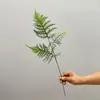 Folhas de Samambaia Aspargo Artificial Bambu Nuvem Planta Verde Galho Longo Decoração de Micro Paisagem Planta Falsa Arranjo de Flores para Casa Decoração Floral Artística Folhas