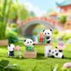 Tiktok Más Vendido Lindo Panda Caja Ciega de Cristal Decoración de Escritorio de Moda Figura de Dibujos Animados Venta al por Mayor Modelo Nuevo