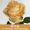 Tinta Spray para Flores, Corante Azul Gelo Triturado Ameixa, Flor de Sabão, Flor Seca, Spray de Arte Floral, Suprimentos para Floricultura Atacado