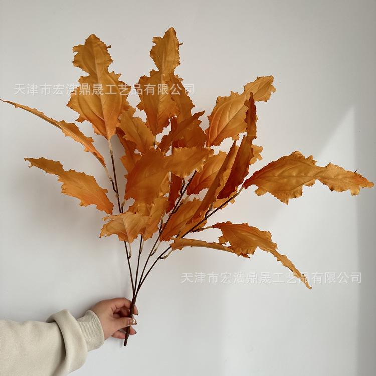 微信图片_2023032416470712_副本