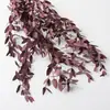 Envío gratis flores secas, frutas secas, cáscaras de nuez, piñas decoración hecho a mano DIY materias primas naturales bosque de Navidad aromaterapia recuerdos
