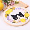 Nuevo Gato de Dibujos Animados Amazon Bordado a Mano DIY Paquete de Material Kit Semiterminado Inglés Transfronterizo Spot