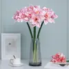Flor Artificial Senso Avançado Ramo Único Clívia Flor Falsa Decoração de Hotel Sala de Estar Mesa de Jantar Mesa de Centro Material de Flor Artificial