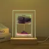 Ornamento Criativo de Areia Movediça Luminoso Luz Noturna Presente de Aniversário para Namorado Meninos Meninas Irmãs Melhores Amigos Quarto