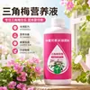 Fabricante fornece solução nutritiva especial para bougainvillea, adequada para plantas de interior em vasos e uso geral para plantas com flores.