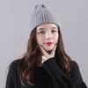 Gorro de lana de moda coreana para otoño e invierno, bonito y cálido gorro de punto con diseño de viento para mujer, gorro tipo jersey al por mayor