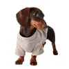 Ropa elegante y cálida para mascotas para gatos y perros, Camiseta base cómoda y acogedora de otoño/invierno para Bichón Frisé y Dachshund, Moda moderna en línea