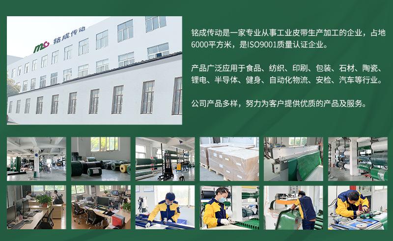 白色钻石纹输送_09.png