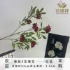 Novo Estilo de Flor de Sophora de Galho Único com 3 Pétalas Flor Artificial Decoração de Sala de Estar Enfeites Vaso Seda Adereços para Fotografia de Casamento Atacado