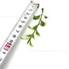 Planta de simulação planta de plástico acessórios para plantas aquáticas grama plana grande com flor de simulação feixe de planta aquática grama decorativa atacado