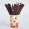Palito de café descartável para bebidas quentes de grau alimentício, tubo misturador de furo duplo e triplo, embalagem individual, tubo reto para bebida quente, frete grátis