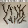 Madera de Pera Amarilla Madera Flotante Original Sudamericano Tanque de Corriente Plantas de Tanque Hojas de Árbol Sustrato Decoración Acentos Ramas Secas Un Artículo Una Toma Selección