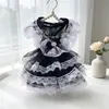 Roupas para Cachorro Transfronteiriças, Estilos Finos de Primavera e Verão, Vestidos de Princesa para Gatos, Vestidos de Renda Preta, Pequenos Animais de Estimação Feitos à Mão para Cães, Atacado