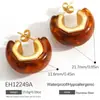 Pendientes de Titanio Acero Inoxidable Yuhui Transfronterizos Estilo Maillard Color Ámbar Resina Retro Chapado Color Oro Real Acero Inoxidable Conservador de Color