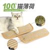 Brinquedos para Gatos, Almofada de Erva-do-Gato, Mordedor Resistente para Filhotes, Vara Agitadora para Gatos, Autentretenimento Alívio do Tédio Suprimentos de Placa de Arranhar de Juta para Gatos