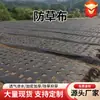 Perforado y troquelado transfronterizo tela a prueba de malezas tela de sombreado para huertos agrícolas tela transpirable permeable al agua para supresión de malezas en invernaderos tela a prueba de malezas para jardinería