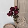 5 Burbuja Rosa Multicabezal Rosa Pequeña Rosa Retro Borde Quemado Rosa Imitación Flor Seca Hogar Sala de Estar Floral Mesa de Comedor Flor Falsa