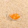 Micropaisagem Criativa Estilo Mediterrâneo Concha do Oceano Concha DIY Decorações Acessórios Paisagismo de Praia Pequenos Enfeites