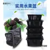 20 cestas de frutas de plástico de amoreira para colheita de mirtilo azul jin embalagem jin cesta azul 10 cerejas com tampa colheita de uva