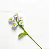 No me olvides Producto Terminado Palo Retorcido Flores Artificiales Flores Hechas a Mano Flores Falsas para Exhibir en Escritorio Estilo Fresco Flores Regalo para Amigos