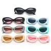 Europa y Estados Unidos transfronterizos nuevos 2302 Gafas de sol de montura ovalada pequeña tendencia de moda Gafas de sol con montura de PC Gafas de sol de celebridad de internet